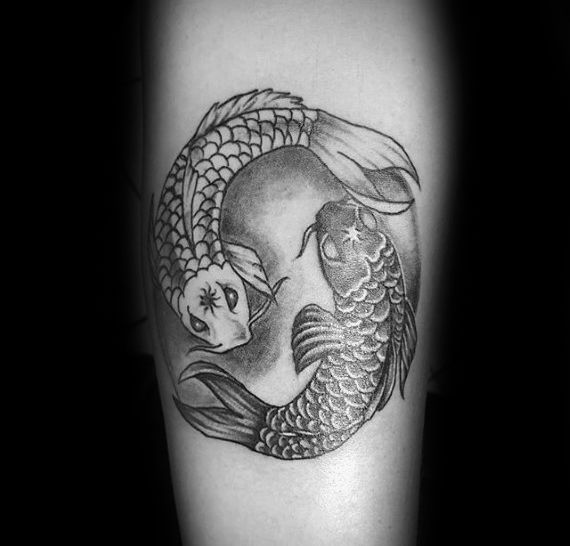 the top 5 best blogs on koi fishes the top 5 best blogs on koi fishes